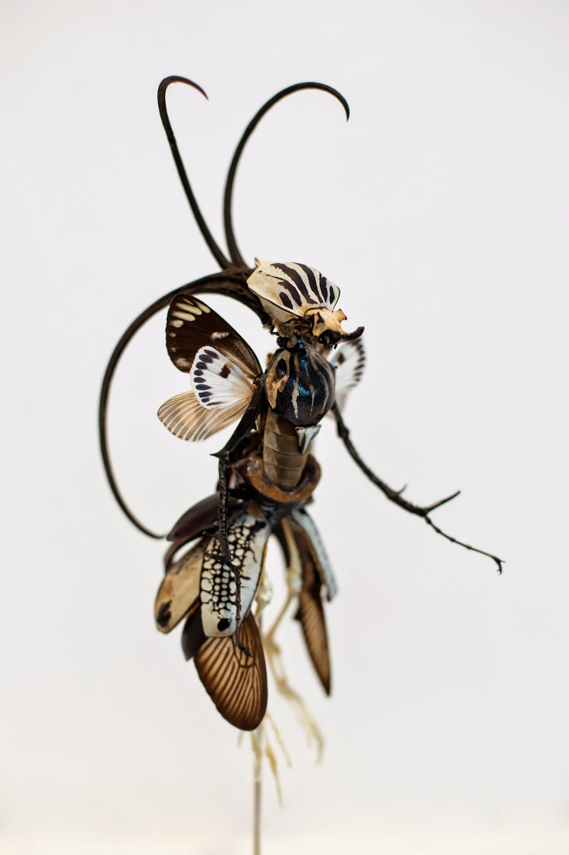 Illustration for article titled The Most Majestic Fairy Sculptures We've Seen Are Made Out Of Insects